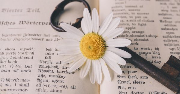 Jak znaleźć dobrego tłumacza przysięgłego języka angielskiego we Wrocławiu?